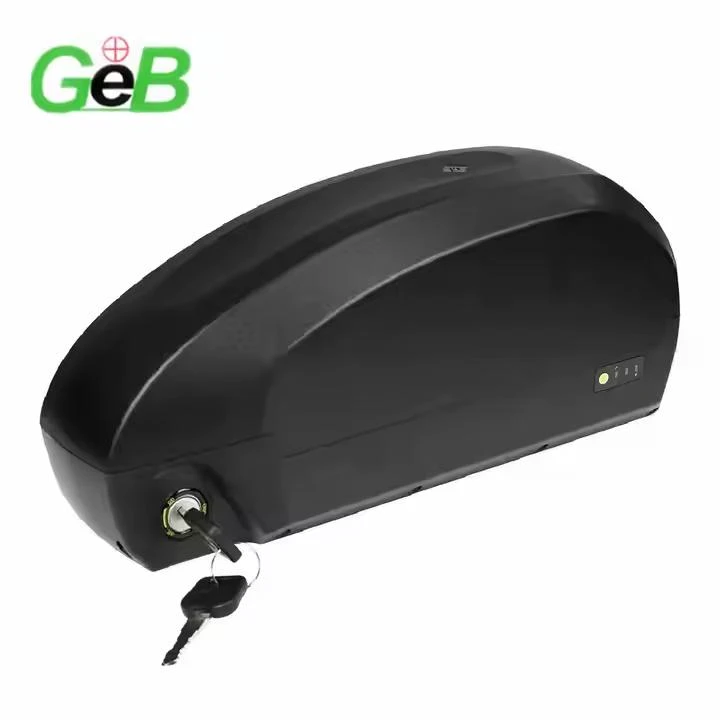 48V 60ah Ebike Roj Teeb
